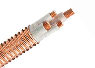 ライト/頑丈な耐火性ケーブル4は銅の金属外装の芯を取ります